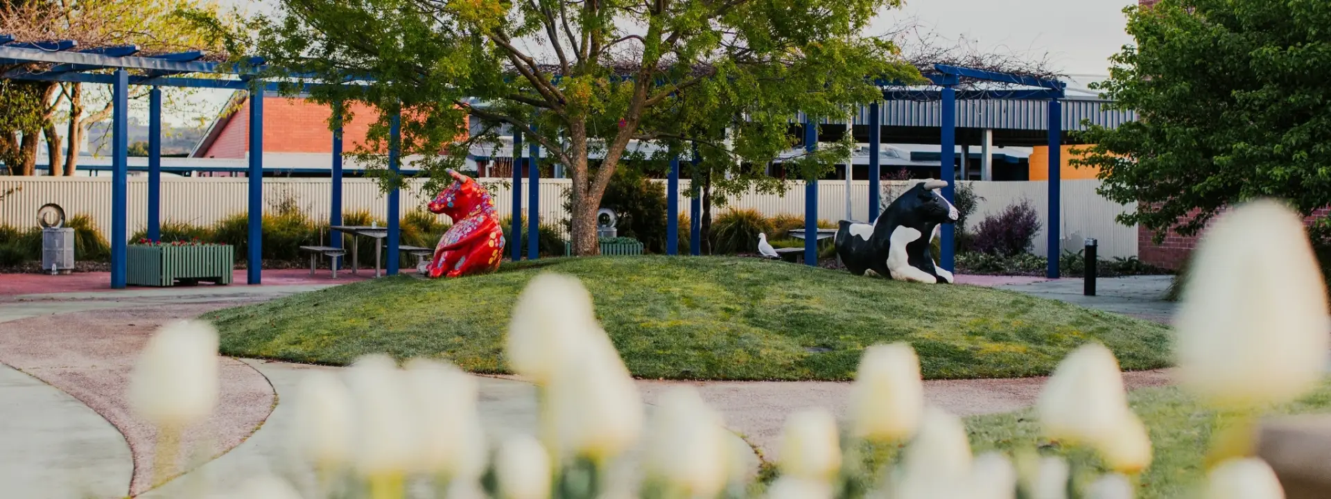 NW Coast Fiona Rubens 2