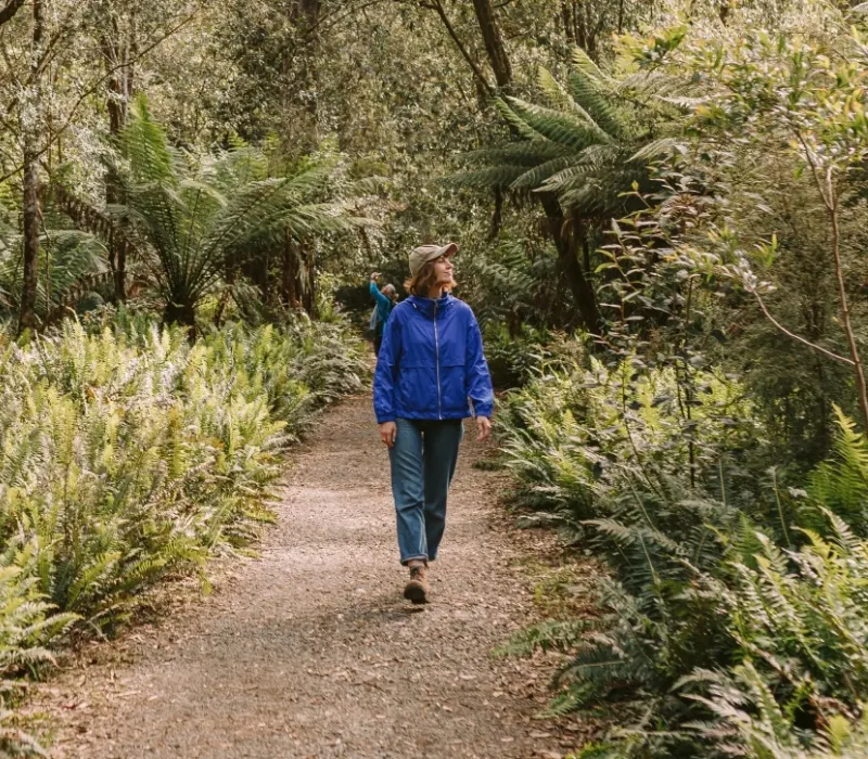 Finding your footing in uncertain times